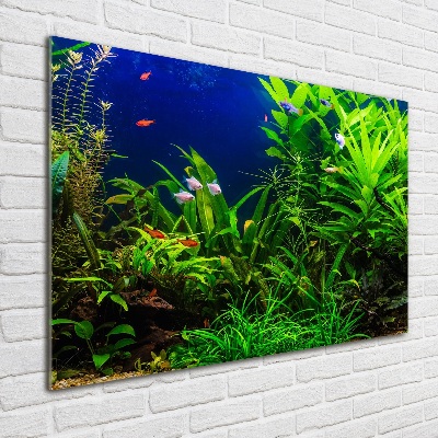 Tableau sur verre Poissons dans un aquarium