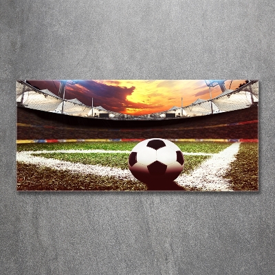 Tableau imprimé sur verre Football sur le stade