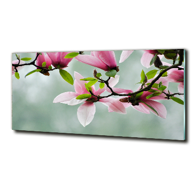 Tableau en verre Le magnolia