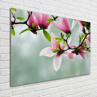 Tableau en verre Le magnolia