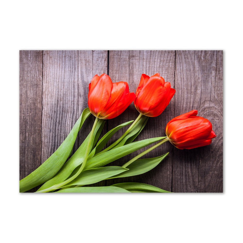 Tableau sur verre Tulipes rouges