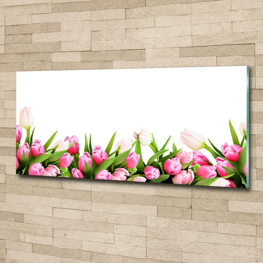 Tableau photo sur verre Tulipes roses