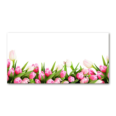 Tableau photo sur verre Tulipes roses