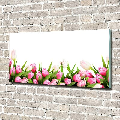 Tableau photo sur verre Tulipes roses