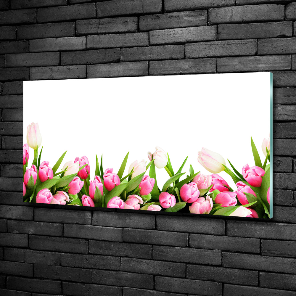 Tableau photo sur verre Tulipes roses