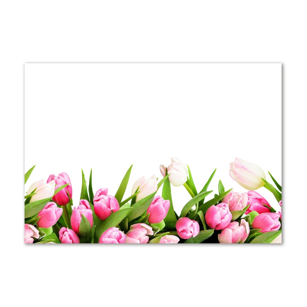 Tableau photo sur verre Tulipes roses