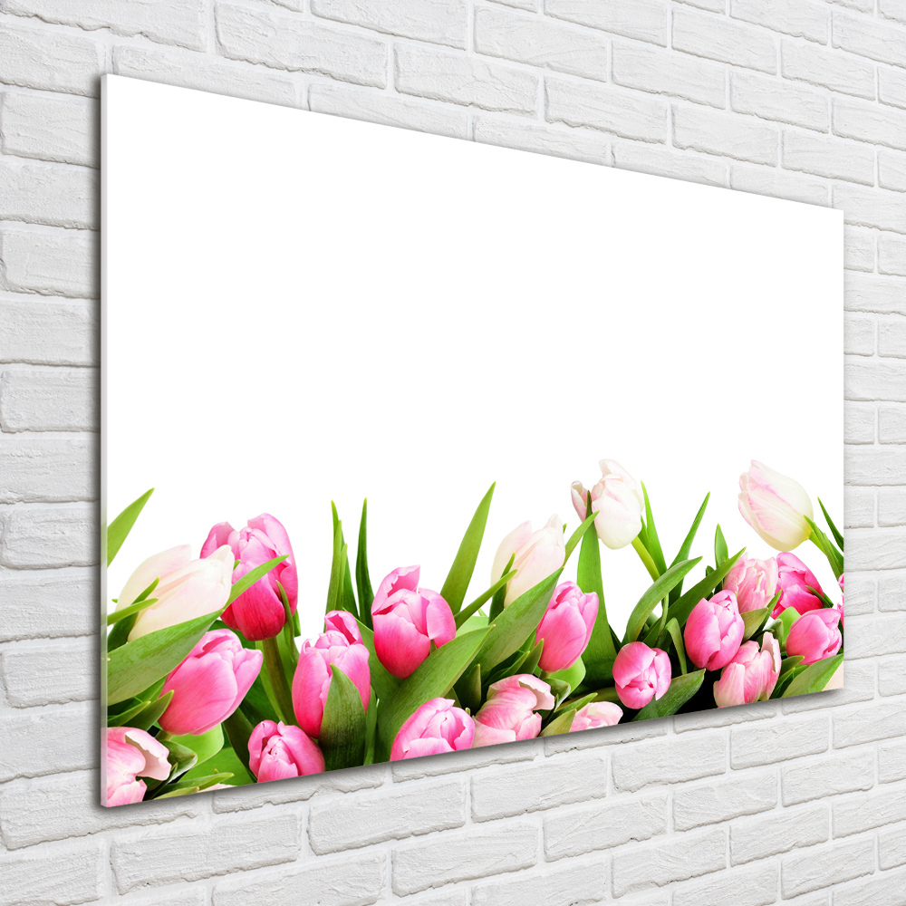 Tableau photo sur verre Tulipes roses