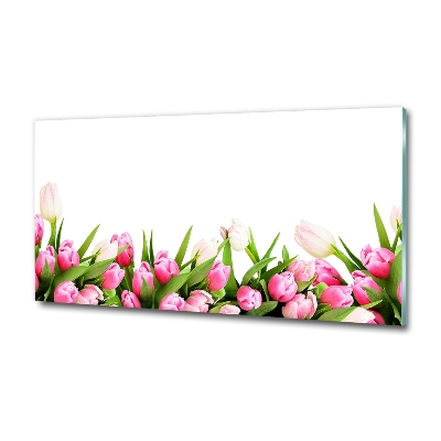 Tableau photo sur verre Tulipes roses