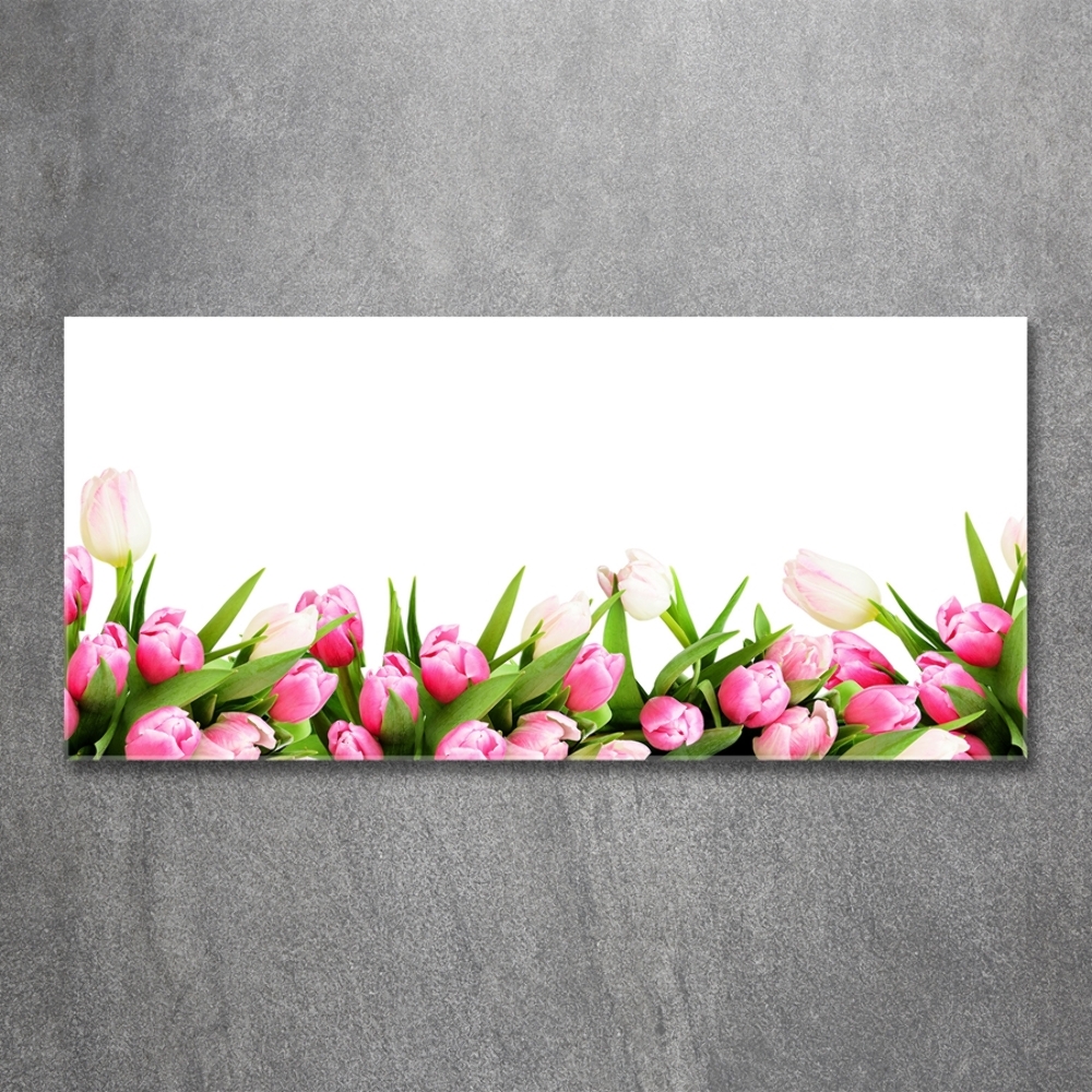 Tableau photo sur verre Tulipes roses