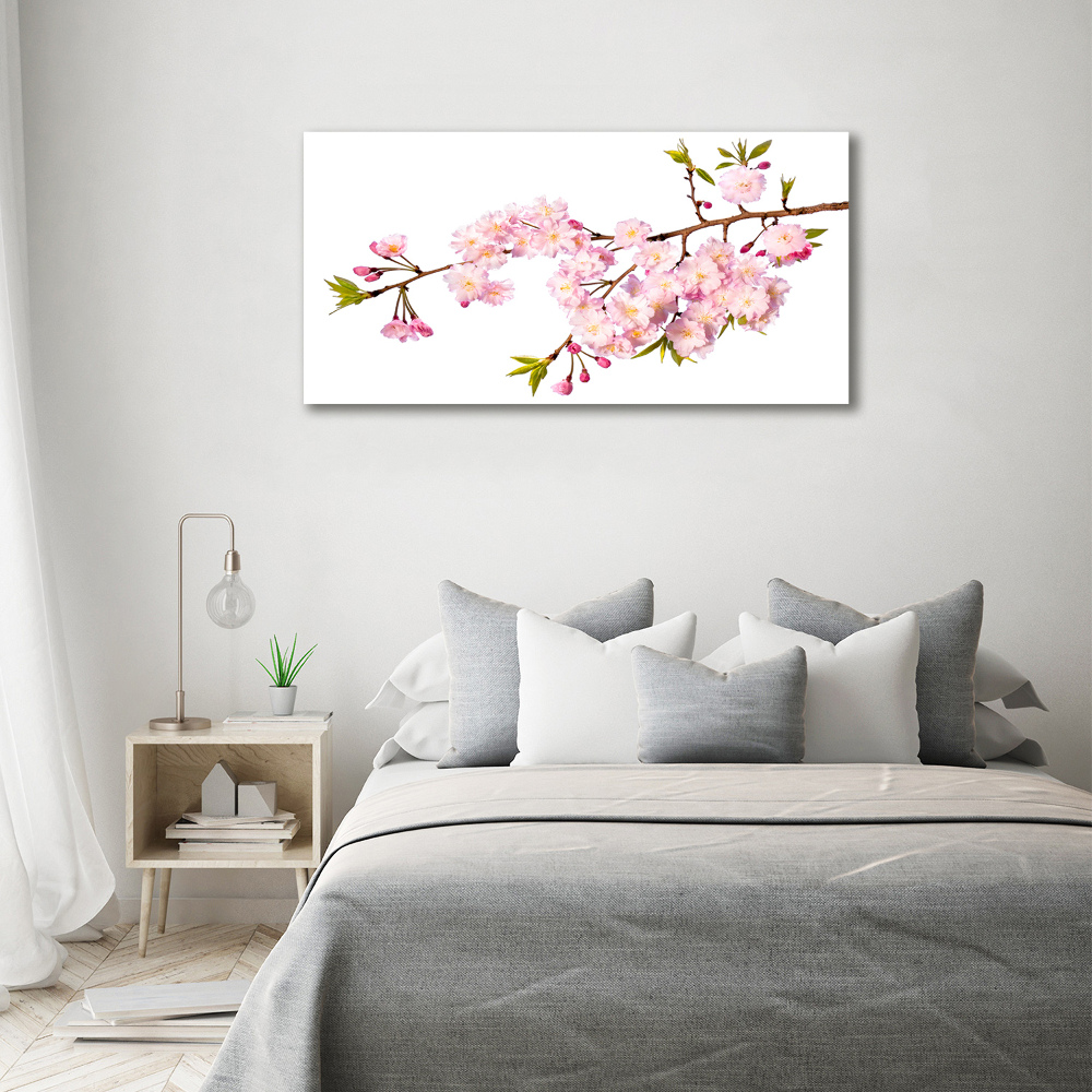 Tableau photo sur verre Rose sauvage