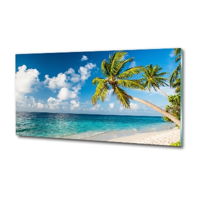 Tableau sur verre Plage des Maldives