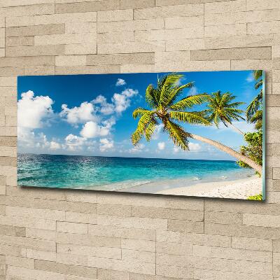 Tableau sur verre Plage des Maldives