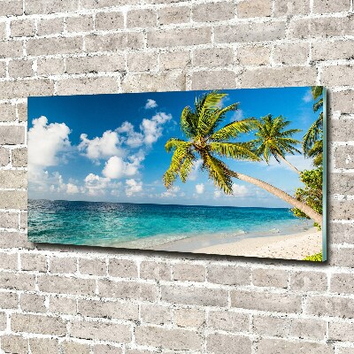 Tableau sur verre Plage des Maldives