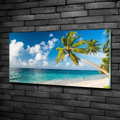 Tableau sur verre Plage des Maldives