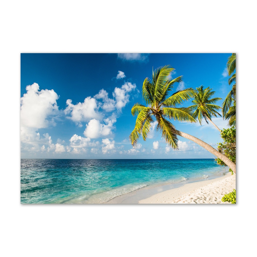 Tableau sur verre Plage des Maldives