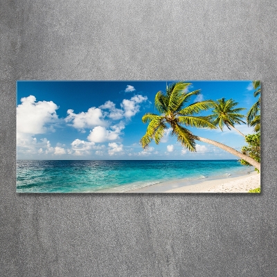 Tableau sur verre Plage des Maldives