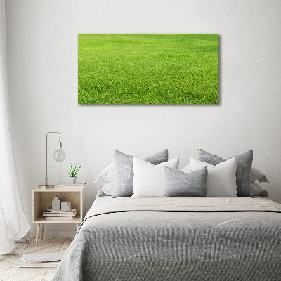 Tableau en verre Herbe verte