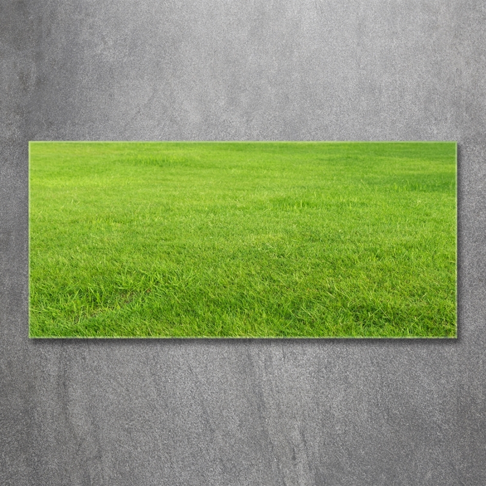 Tableau en verre Herbe verte