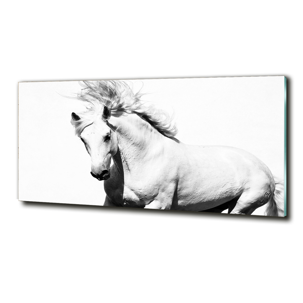 Tableau sur verre Cheval blanc