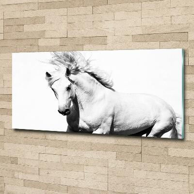 Tableau sur verre Cheval blanc