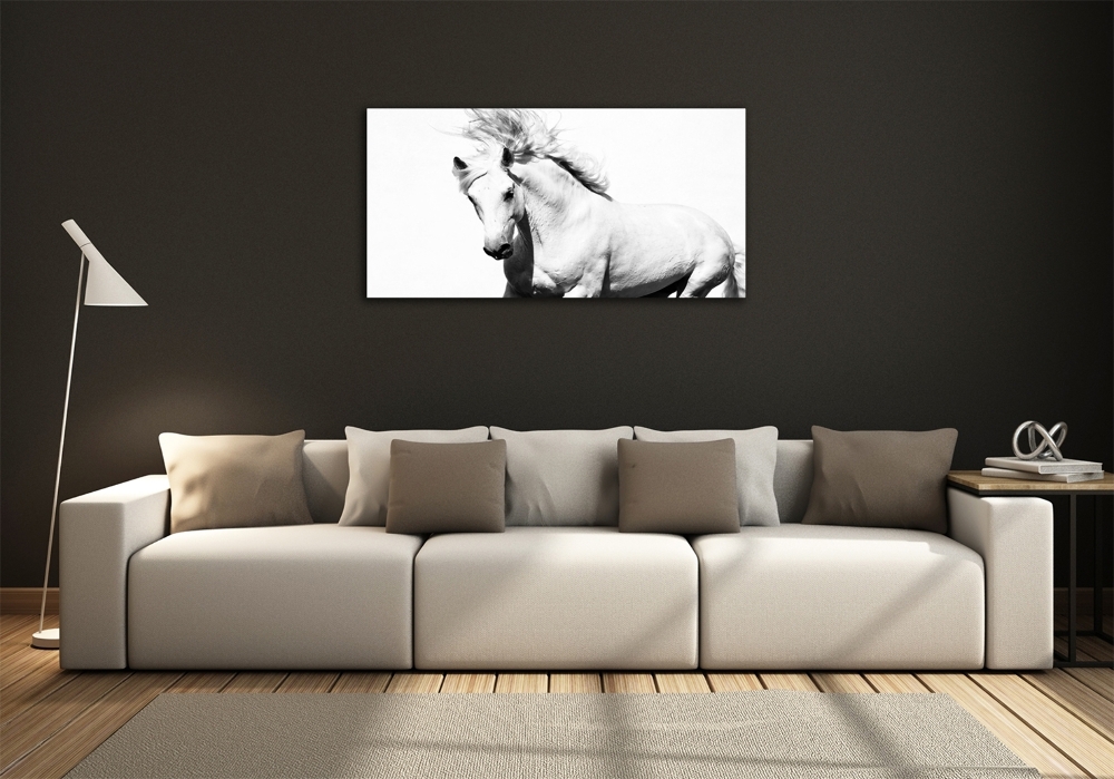 Tableau sur verre Cheval blanc