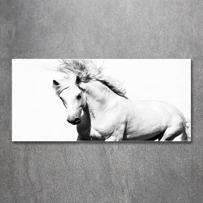 Tableau sur verre Cheval blanc