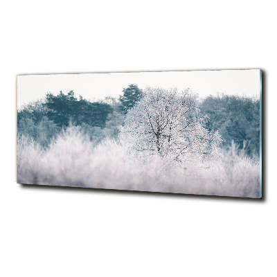 Tableau imprimé sur verre Arbres en hiver