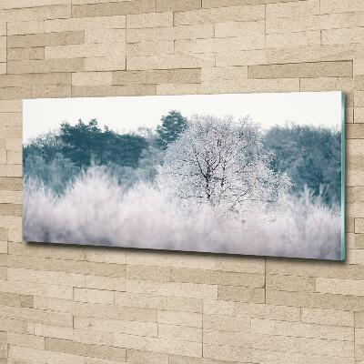 Tableau imprimé sur verre Arbres en hiver