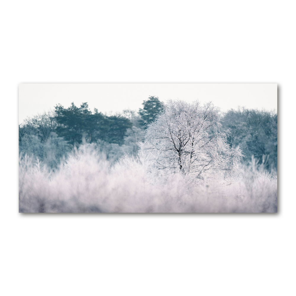 Tableau imprimé sur verre Arbres en hiver