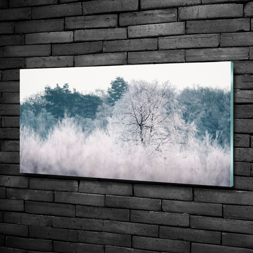 Tableau imprimé sur verre Arbres en hiver