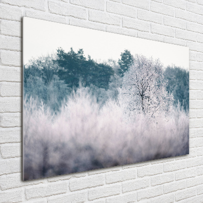 Tableau imprimé sur verre Arbres en hiver