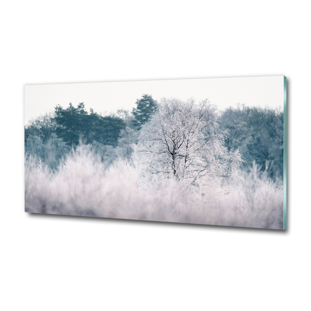 Tableau imprimé sur verre Arbres en hiver