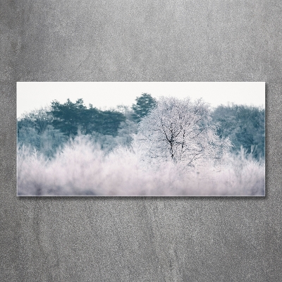 Tableau imprimé sur verre Arbres en hiver