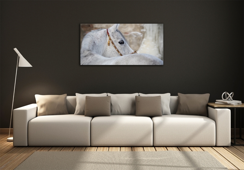 Tableau photo sur verre Cheval arabe blanc