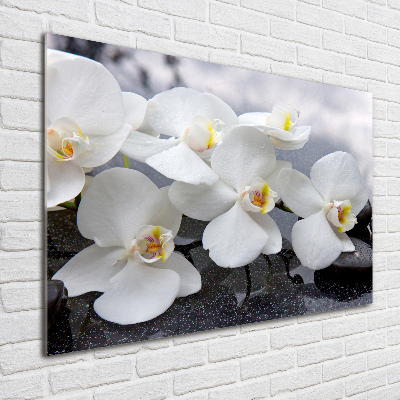 Tableau photo sur verre Fleur de l'orchidée