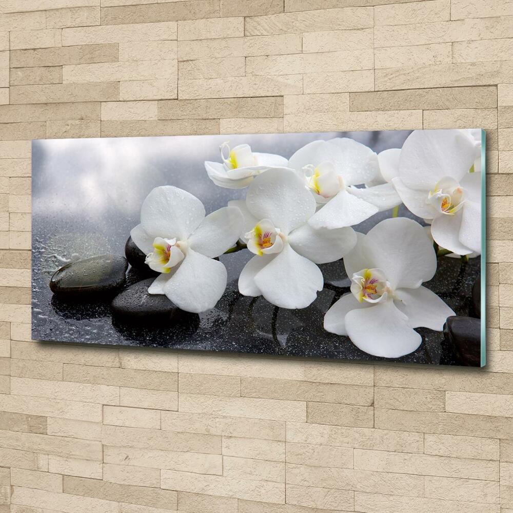 Tableau en verre Fleur d'orchidée