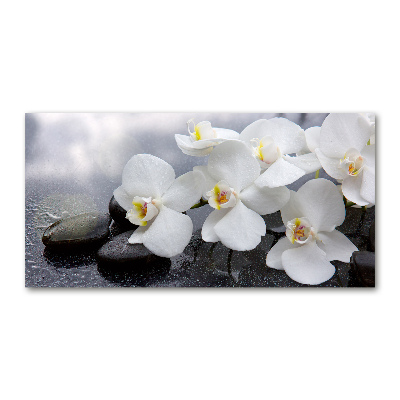 Tableau en verre Fleur d'orchidée