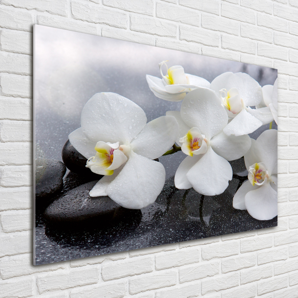 Tableau en verre Fleur d'orchidée