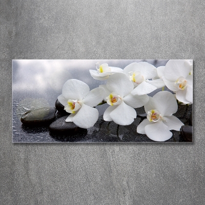 Tableau en verre Fleur d'orchidée