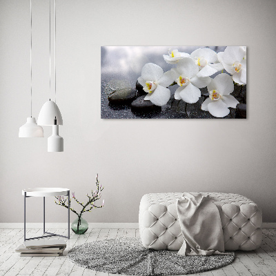 Tableau en verre Fleur d'orchidée