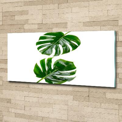 Tableau verre imprimé Monstera feuilles