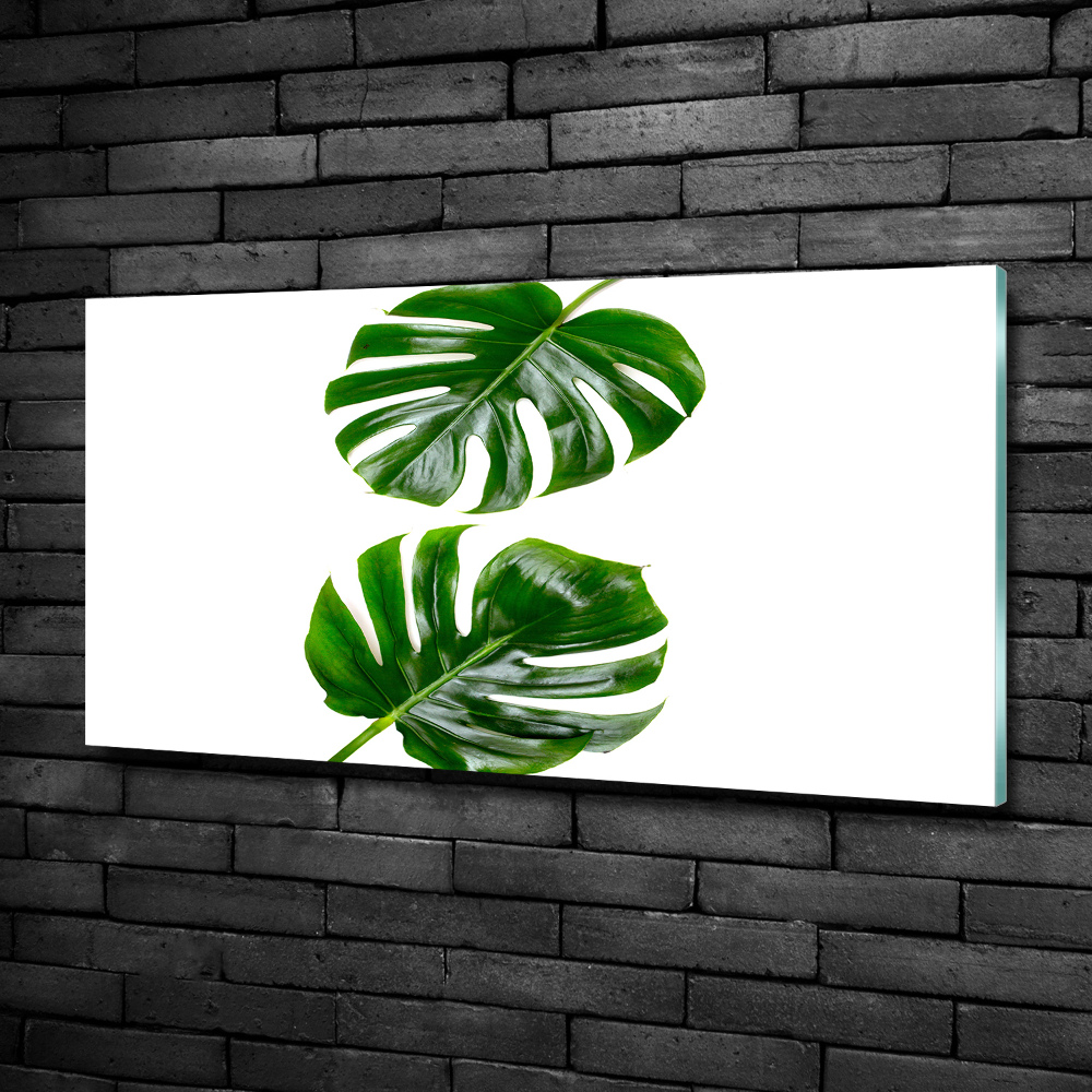 Tableau verre imprimé Monstera feuilles