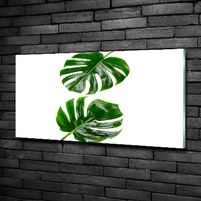 Tableau verre imprimé Monstera feuilles