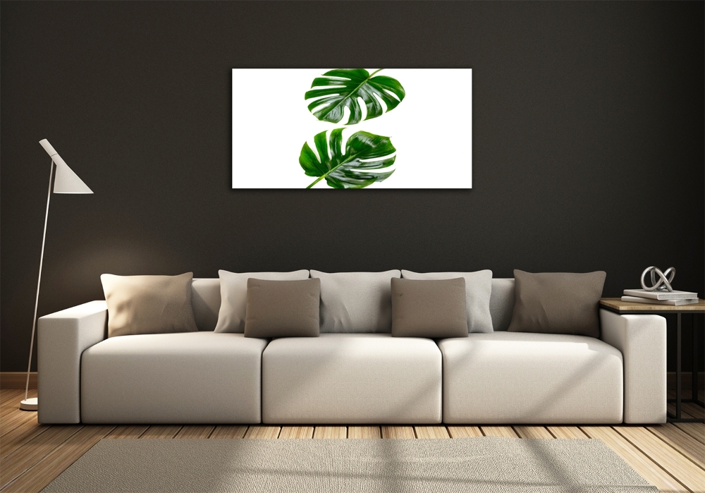 Tableau verre imprimé Monstera feuilles