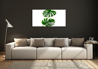 Tableau verre imprimé Monstera feuilles