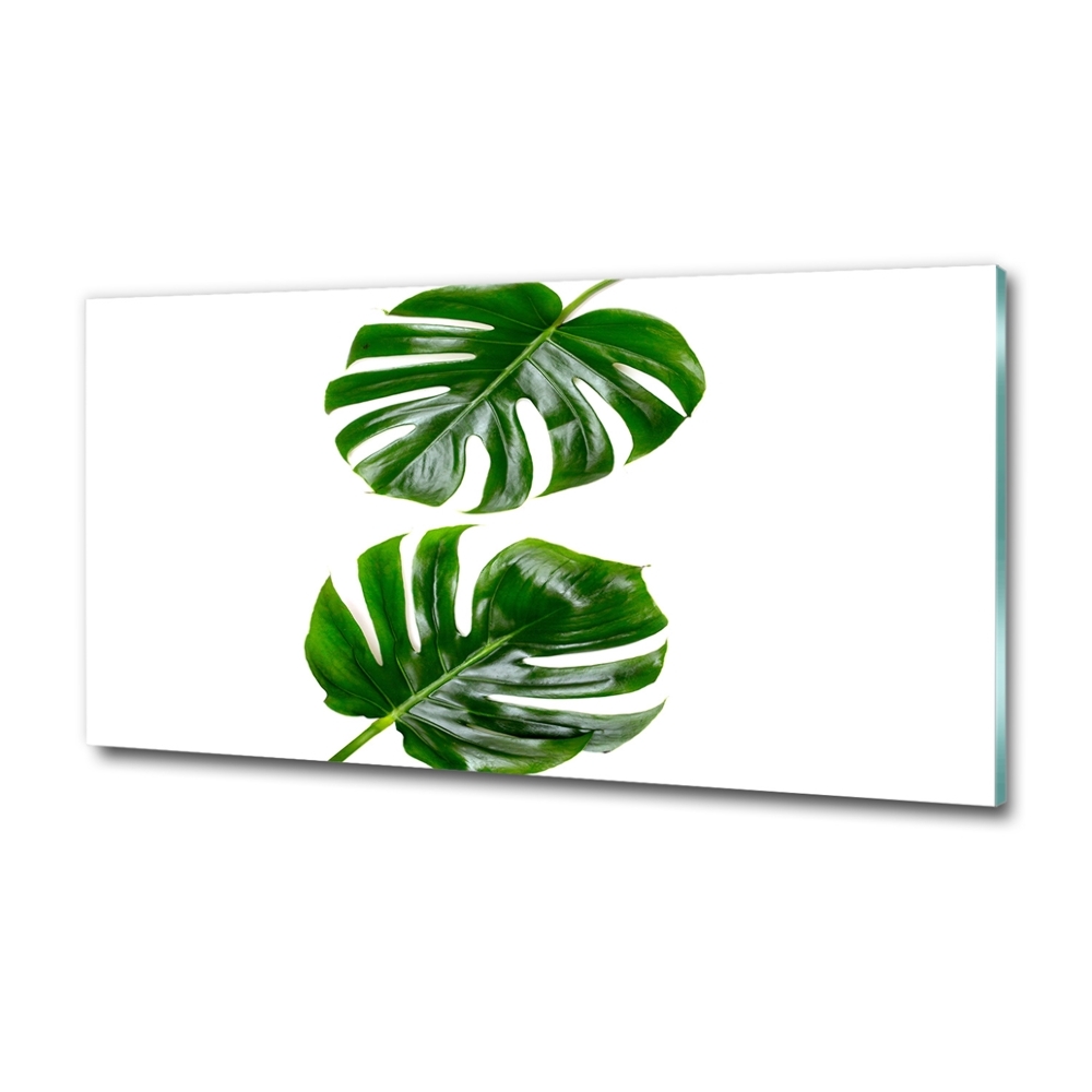 Tableau verre imprimé Monstera feuilles