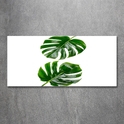 Tableau verre imprimé Monstera feuilles