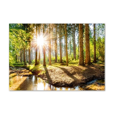 Tableau en verre Panorama de la forêt