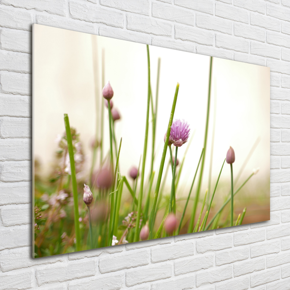 Tableau photo sur verre Chiot