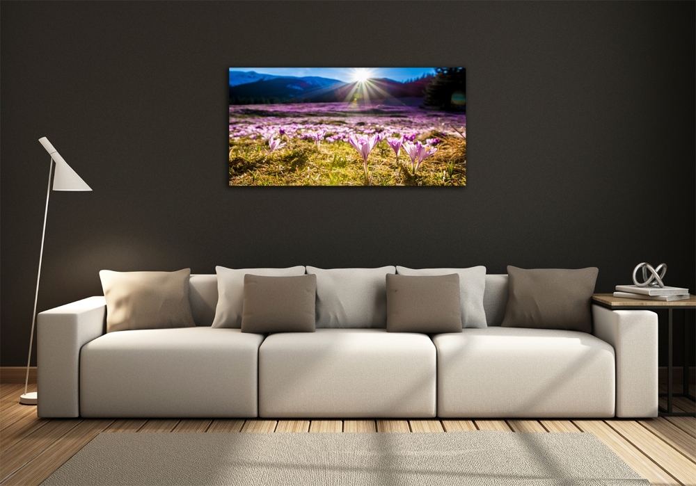 Tableau en verre Crocus dans une clairière